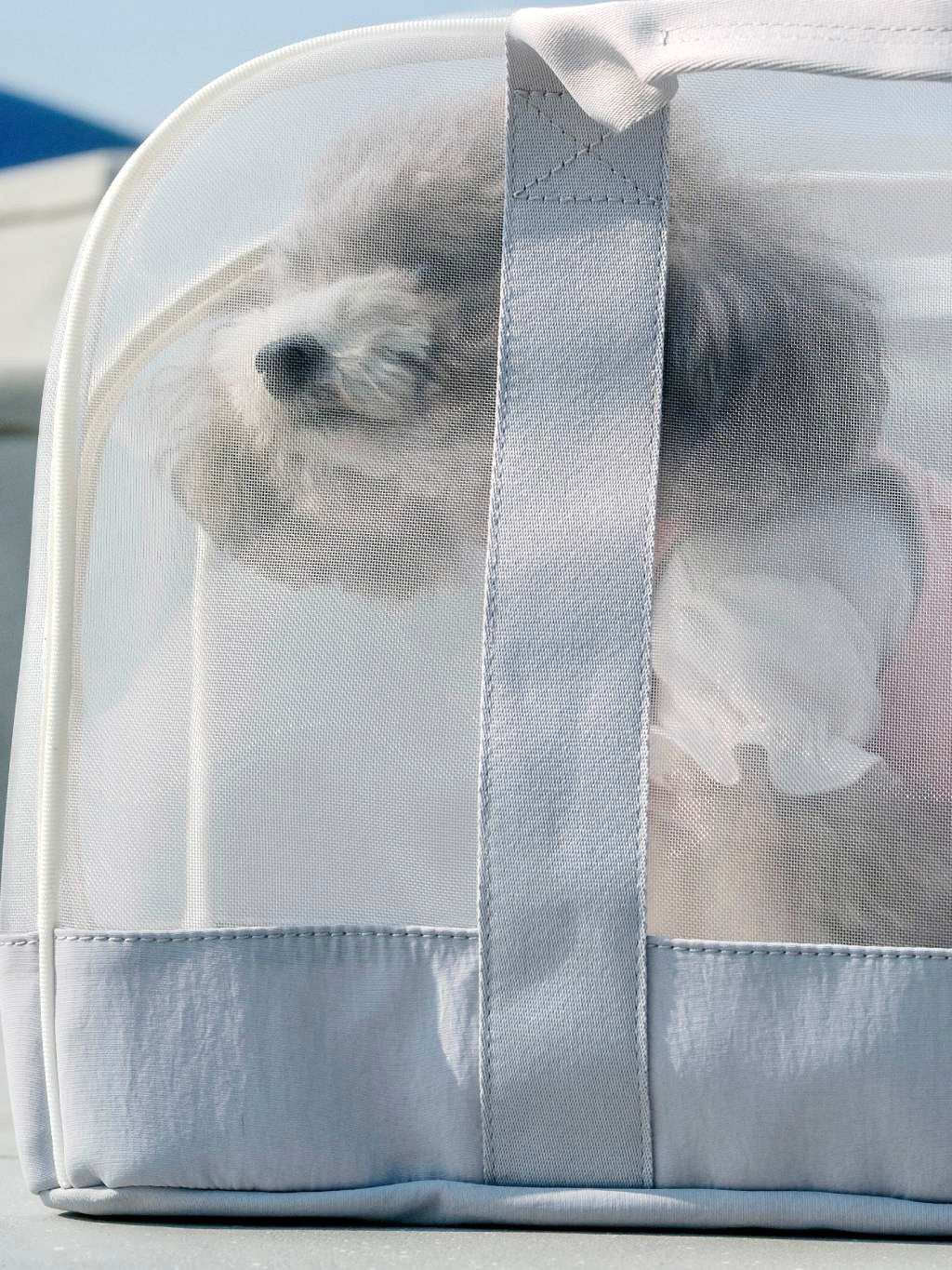 AU-au! -Sunny Internal Sleeve #SB-010-11