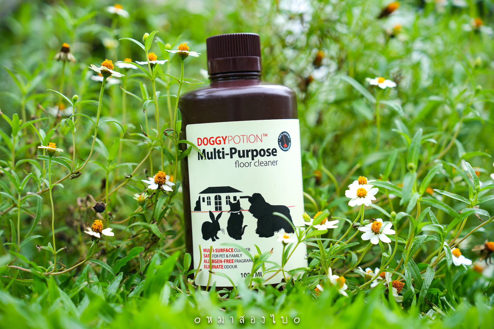 DOGGY-Multi Purpose Floor Cleaner 1000ml #DP-5425 - SPCA HK