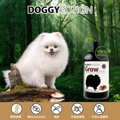 DOGGY-Grow Shampoo W/Ginseng&Lingzhi Extract 500ml