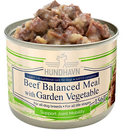 HUNDHAVN Beef Balanced Meal W/garden Vegetable 156g