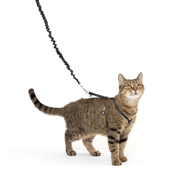 Petsafe-Harness & Bungee Leash For Cat