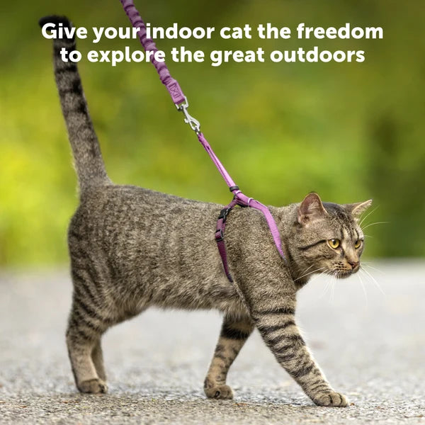 Petsafe-Harness & Bungee Leash For Cat