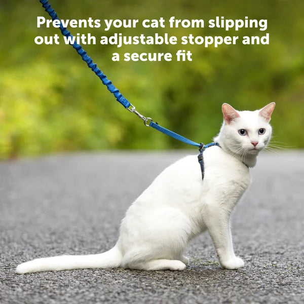 Petsafe-Harness & Bungee Leash For Cat