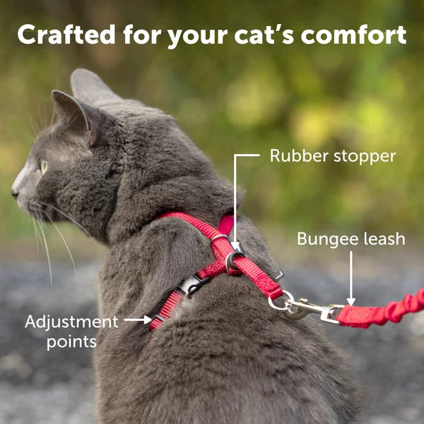 Petsafe-Harness & Bungee Leash For Cat