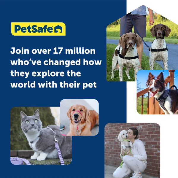 Petsafe-Harness & Bungee Leash For Cat