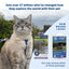 Petsafe-Harness & Bungee Leash For Cat