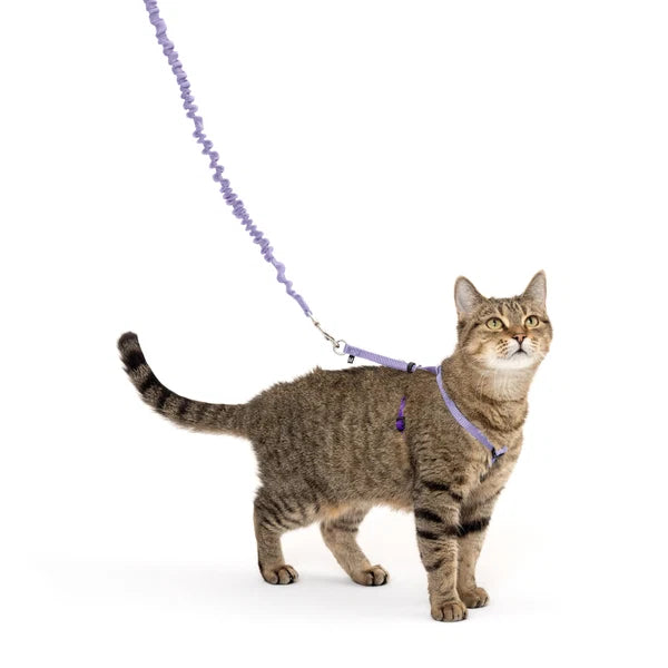 Petsafe-Harness & Bungee Leash For Cat