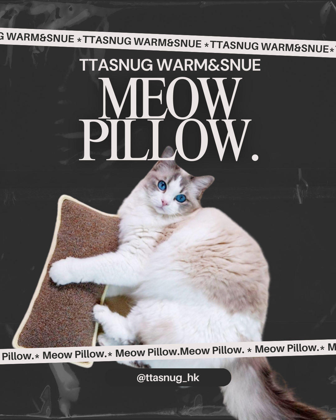 TTASUNG 貓貓抱枕磨爪玩具