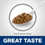 Hills Science Diet Adult Liver & Chicken Entrée Cat Food 5.5oz - SPCA HK