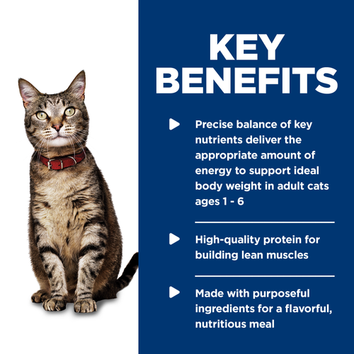 Hills Science Diet Adult Liver & Chicken Entrée Cat Food 5.5oz - SPCA HK