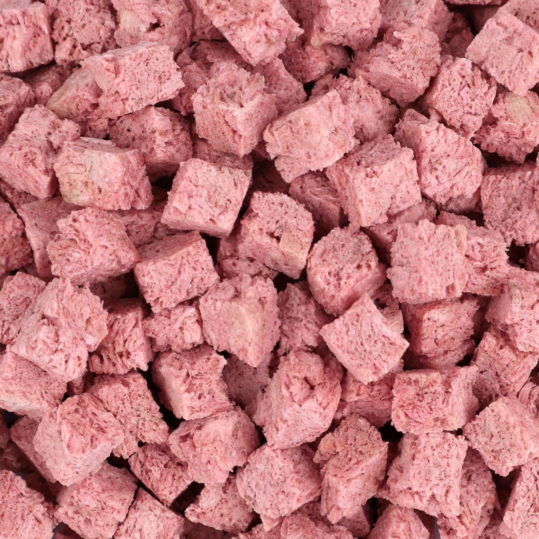 Keendlet Corashell W/Scallop & Beet - SPCA HK