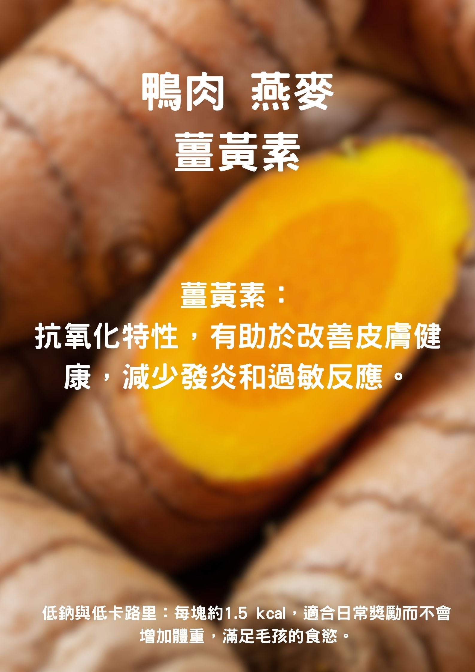 RootreatDuck Yellow 120g - SPCA HK
