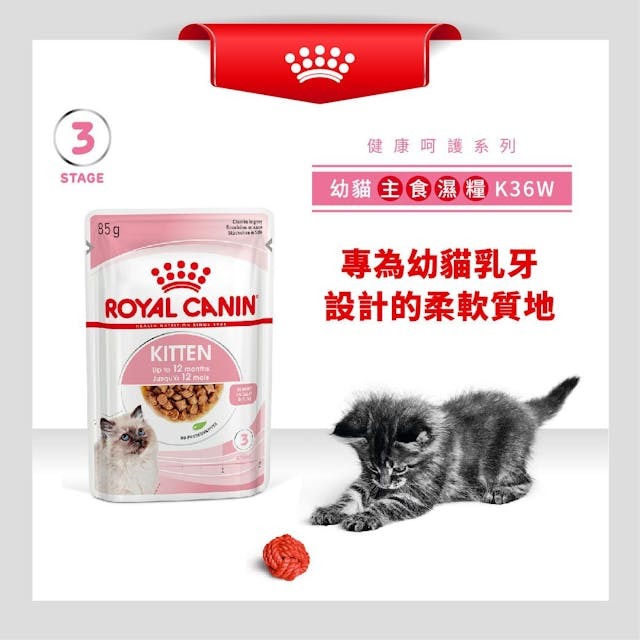 RC FHN Pouch Kitten (Gravy) 85g #3075400