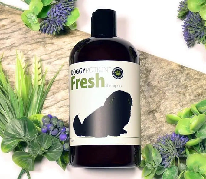 DOGGY-Fresh Shampoo With Oatmeal 500ml #DP-6488