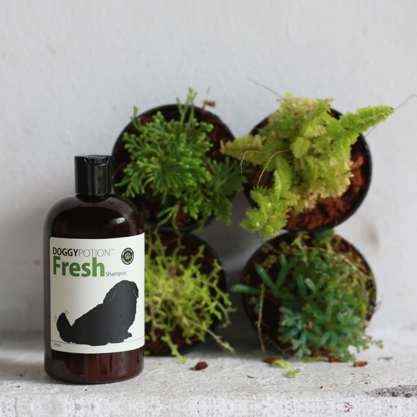 DOGGY-Fresh Shampoo With Oatmeal 500ml #DP-6488