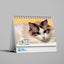SPCA Cat Weekly Desk Calendar 2026