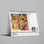 SPCA Cat Weekly Desk Calendar 2026