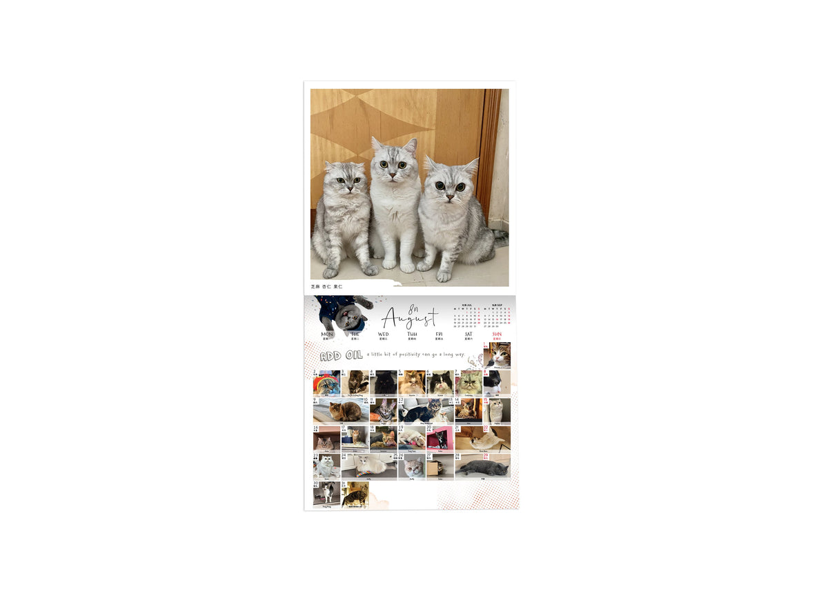 SPCA 貓貓掛牆月曆 2027