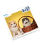 SPCA 貓貓掛牆月曆 2027