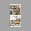 SPCA Cat Monthly Wall Calendar 2026