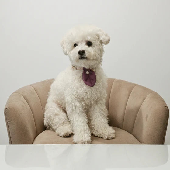 HIKOINU - 嬰兒樹葉款