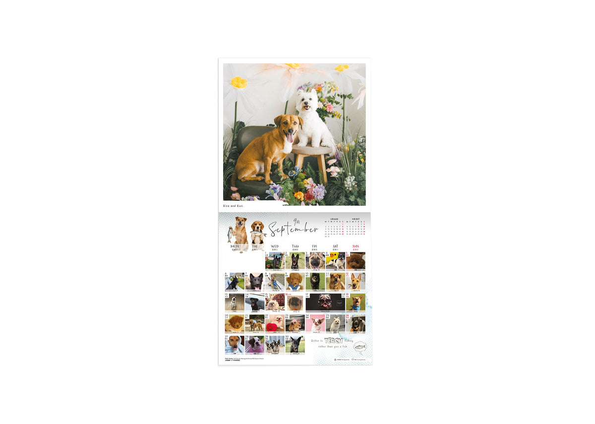 SPCA 狗狗掛牆月曆 2027