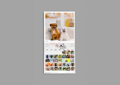 SPCA Dog Monthly Wall Calendar 2026