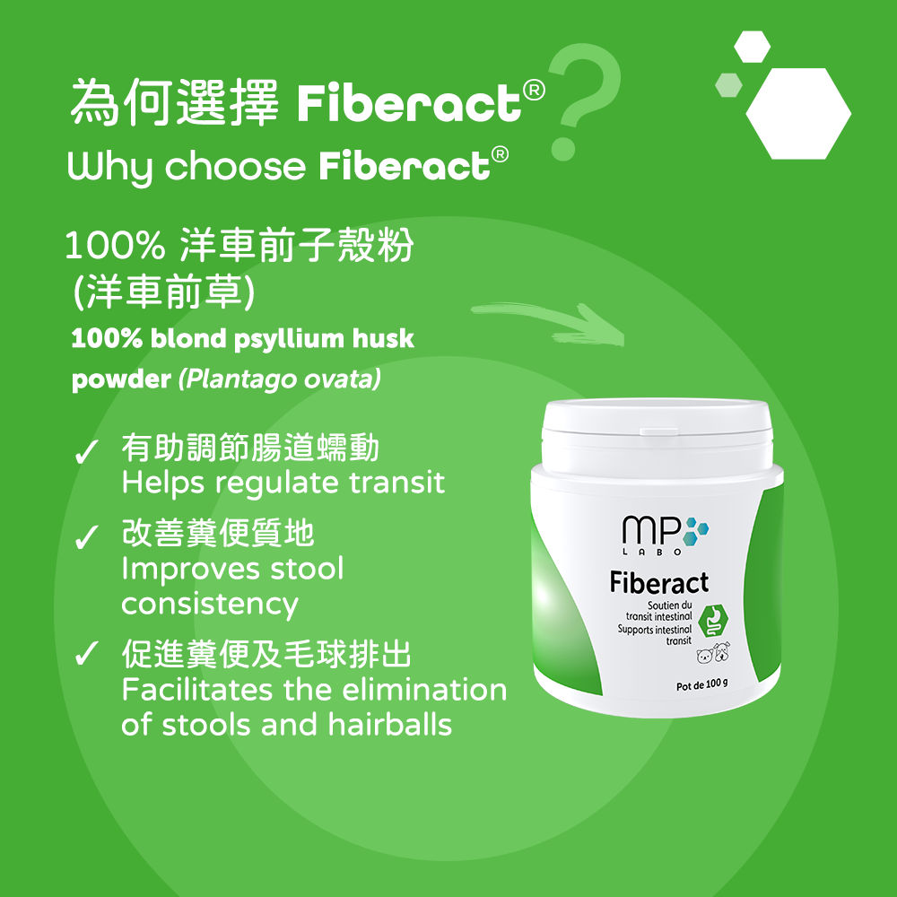 MP Labo - Fiberact Psyllium for Digestive Health in Dogs & Cats 100g