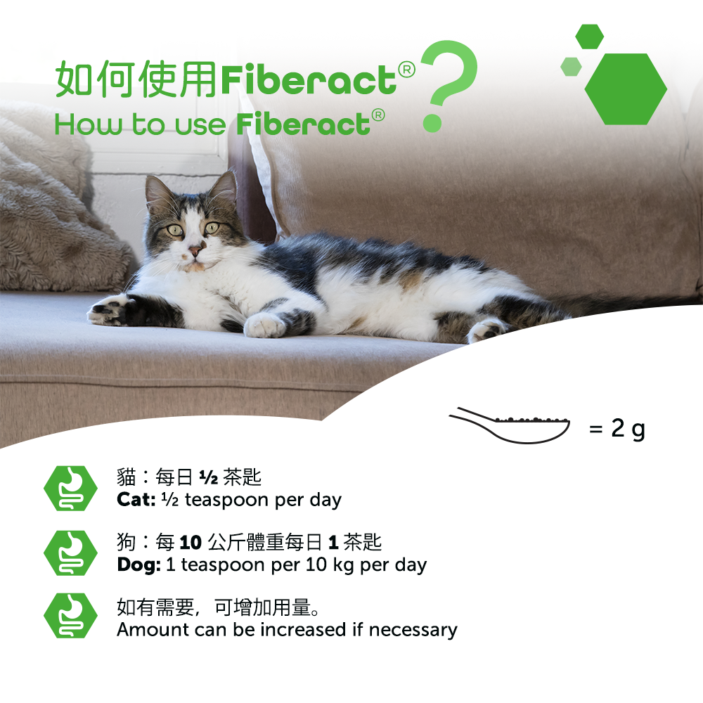 MP Labo - Fiberact Psyllium for Digestive Health in Dogs & Cats 100g