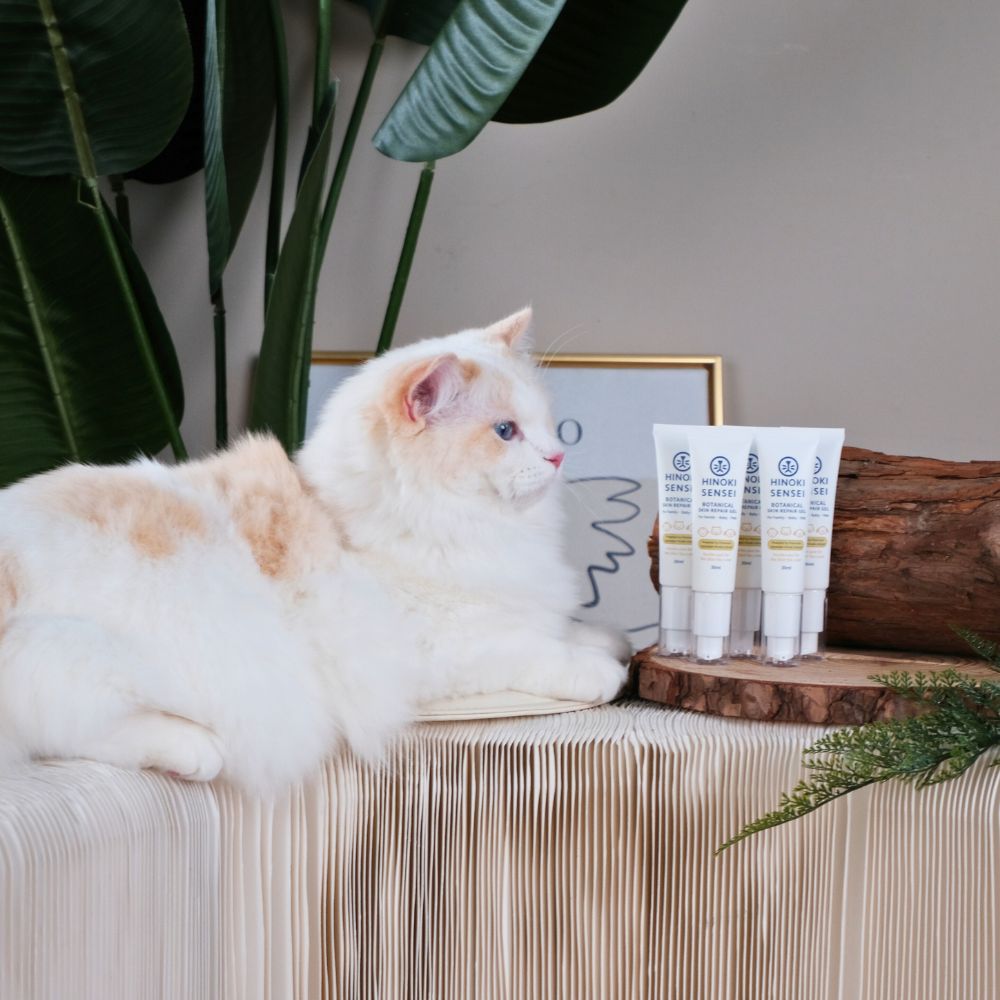 HINOKI SENSEI-Botanical Skin Repair Gel 30ml