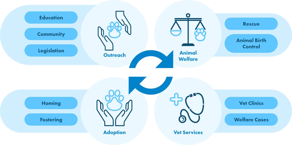 About Us – SPCA HK