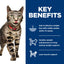 Hills Science Diet - Adult Perfect Weight Vegetable & Turkey Medley Cat Wet Food 2.9oz #608492 - SPCA HK