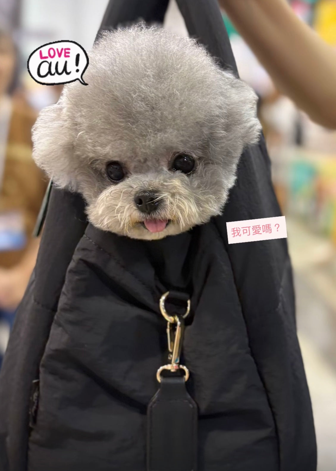 AU-au! Fonny Bubble Bag