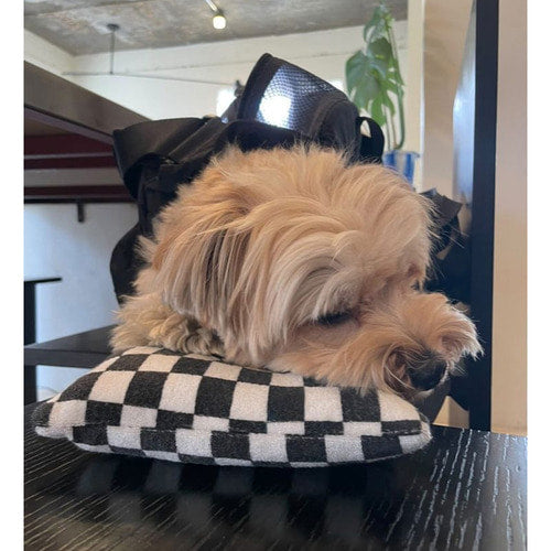 UBUNTU 多功能安全寵物外出包（Daily Out Bag)