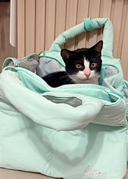 AU-au! Fonny Bubble Bag