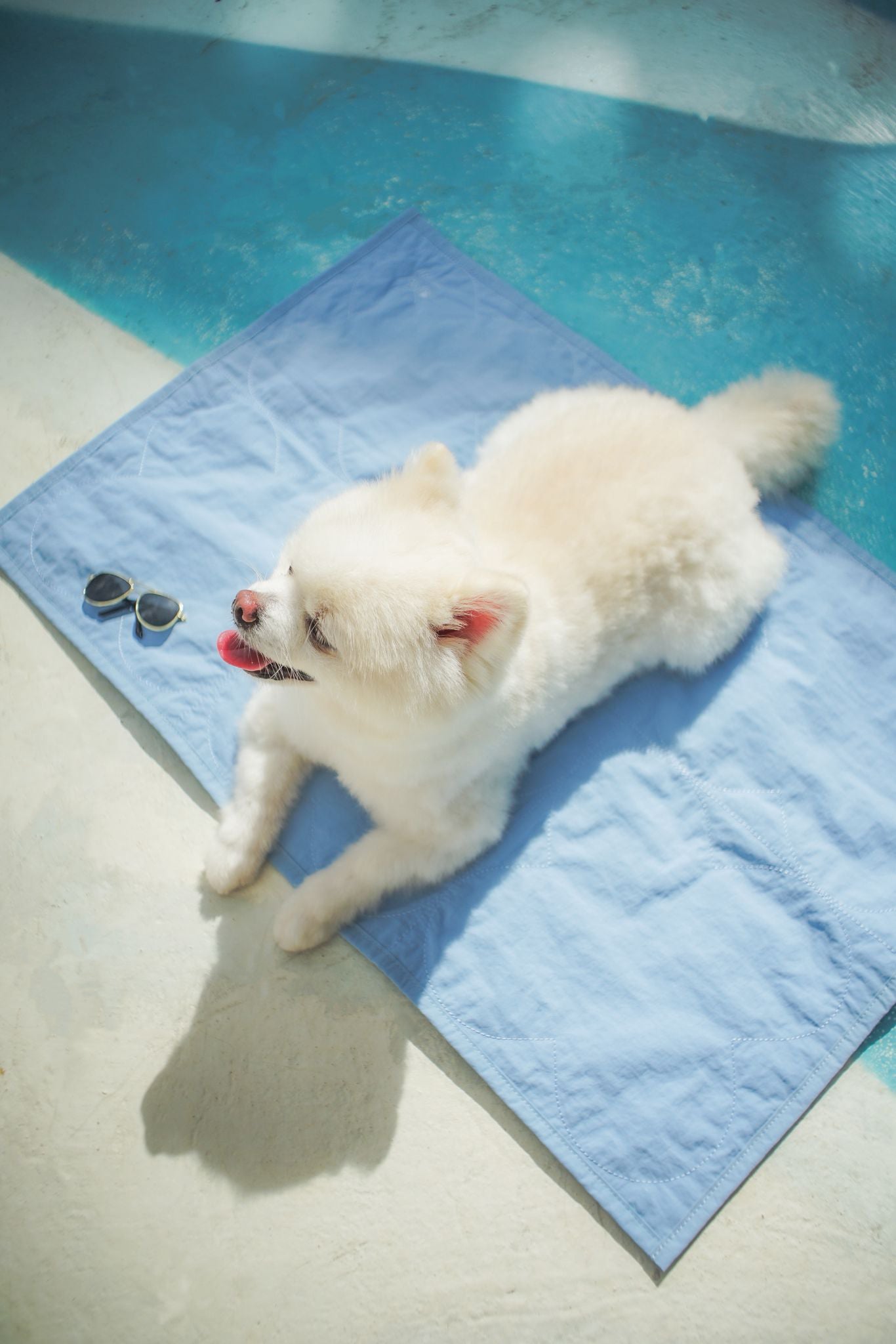 AU-au! Four Leaf Heaven Traval Mat (Small)