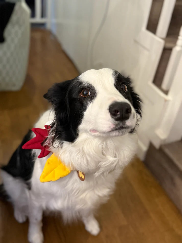 HIKOINU - 嬰兒樹葉款