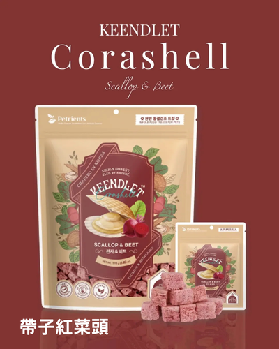 Keendlet Corashell W/Scallop & Beet - SPCA HK
