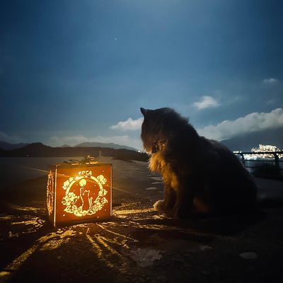 Lantern of Whiskers & Wonders