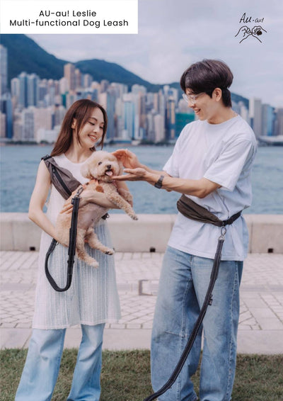 AU-au! Leslie Multi-Functional Dog Leash