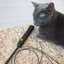 Pet Care - LUMIWHISKER Light Up Fiber Optic Cat Wand - SPCA HK