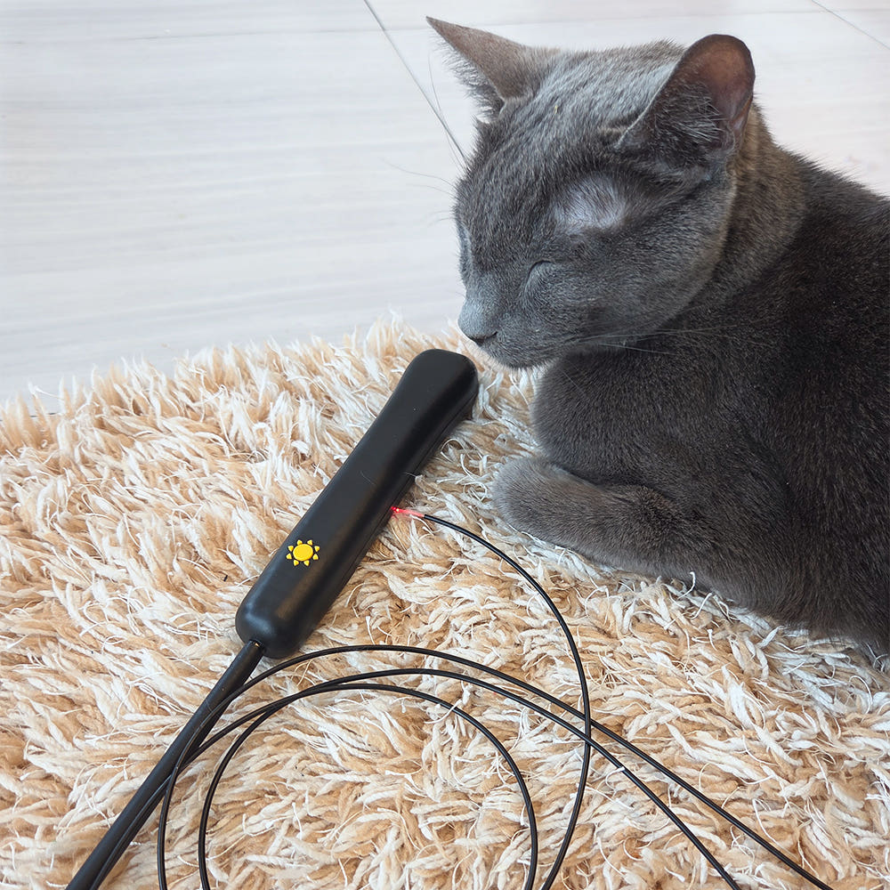 Pet Care - LUMIWHISKER Light Up Fiber Optic Cat Wand - SPCA HK