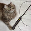 Pet Care - LUMIWHISKER Light Up Fiber Optic Cat Wand - SPCA HK
