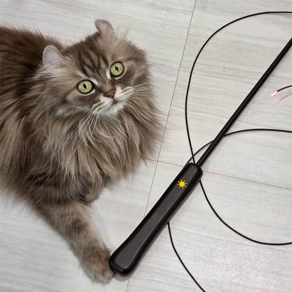 Pet Care - LUMIWHISKER Light Up Fiber Optic Cat Wand - SPCA HK