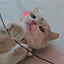 Pet Care - LUMIWHISKER Light Up Fiber Optic Cat Wand - SPCA HK