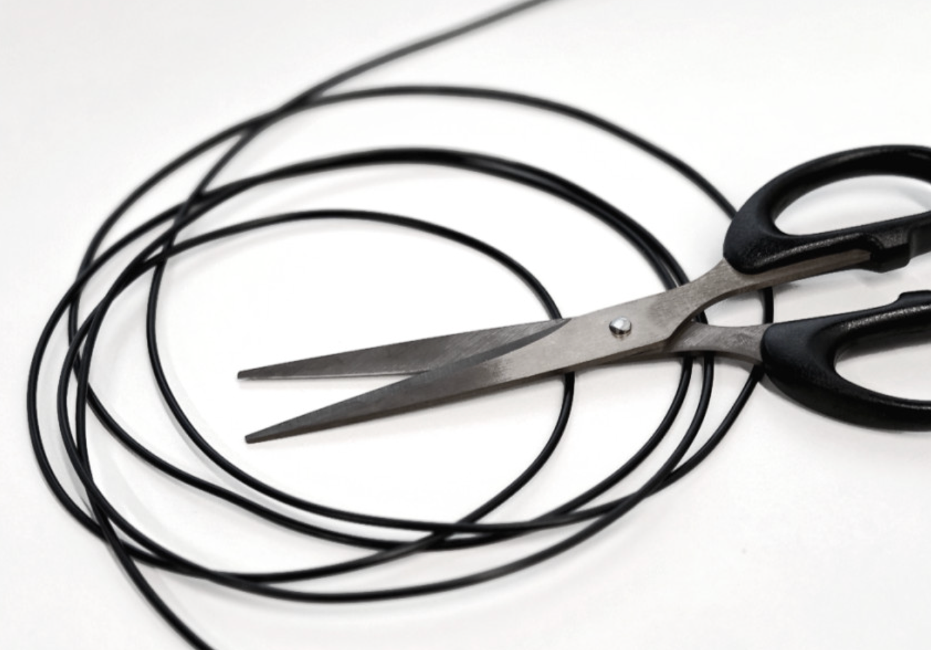 Pet Care - LUMIWHISKER Light Up Fiber Optic Cat Wand - SPCA HK