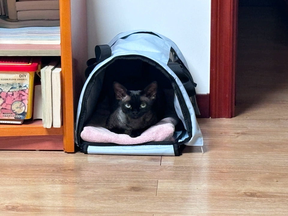 Small Cat -Waterproof Pet Shoulder Bag
