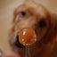Manuka (PET) MGO100+ 250g