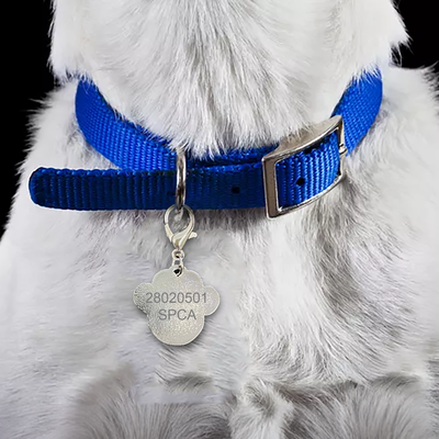 SPCA Pet Tag