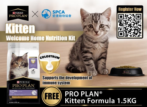 SPCA Online Shop – SPCA HK